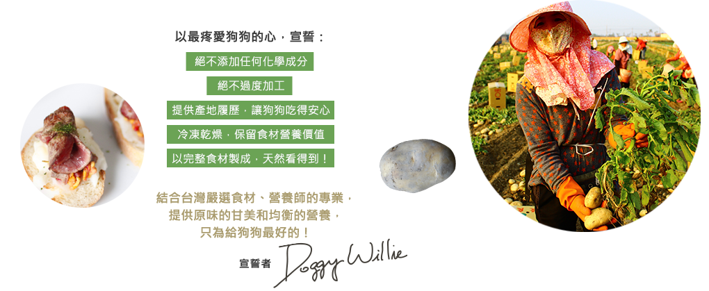1分鐘狗狗鮮食,營養更健康 1分鐘狗狗鮮食,營養更健康