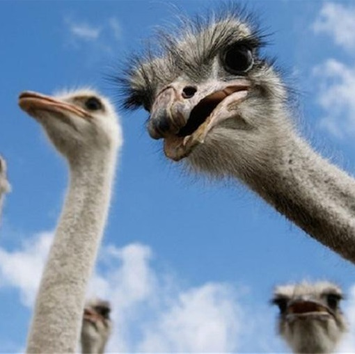 他的睫毛竟然比我长!