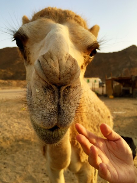 他的睫毛竟然比我长!