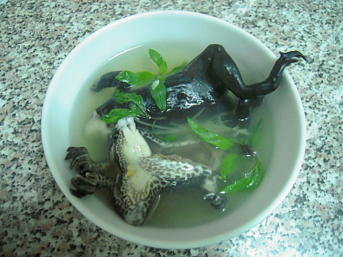 [食物名称] 青蛙汤 [为何不敢吃的理由]以前觉得吃