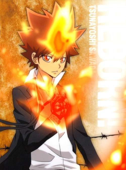 [  霸气角色名字  ] 泽田纲吉  [  出没作品  ] 家庭教师