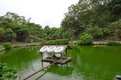 黎逸群 最推登山秘徑地點 新竹新埔九芎湖步道