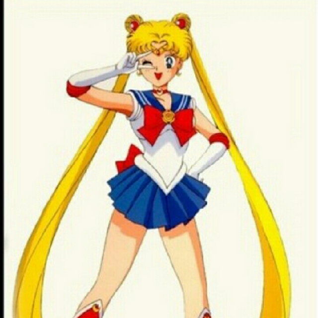 ヤンシンイン[ 双马尾角色出没动画名称 ]  美少女战士 [ 动画类型 ]